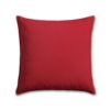 Sunbrella Outdoor Pillow