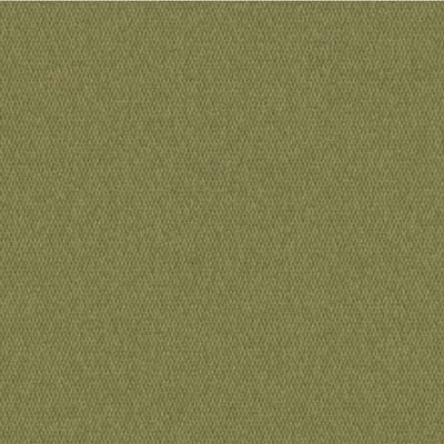 Canvas Olive (A)