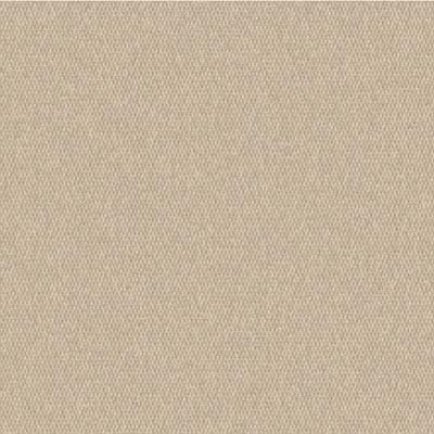 Canvas Antique Beige (A)