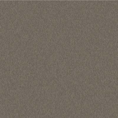 Canvas Taupe (A)