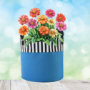 Picture of Grow Tote Stripe Blue