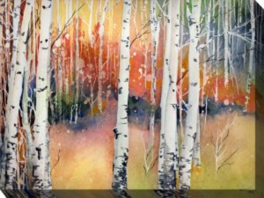 Colorado Aspens  - 40" x 30" Outdoor Canvas Wall Art | Weatherproof & UV-Resistant