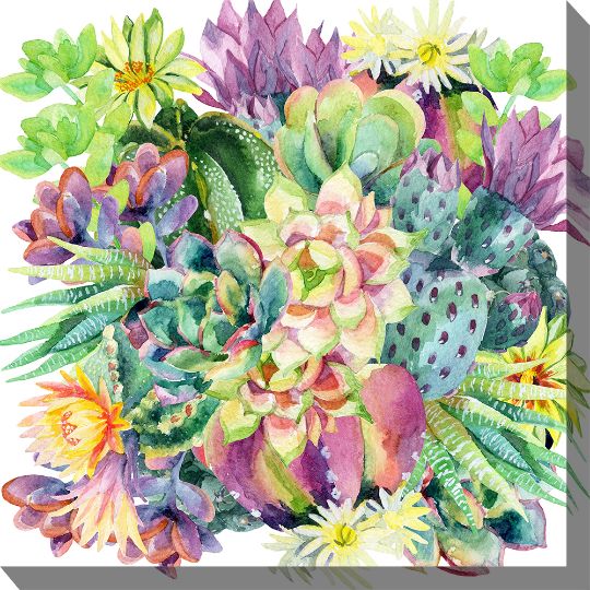 Succulent Blooms - 24" x 24" Outdoor Canvas Wall Art | Weatherproof & UV-Resistant