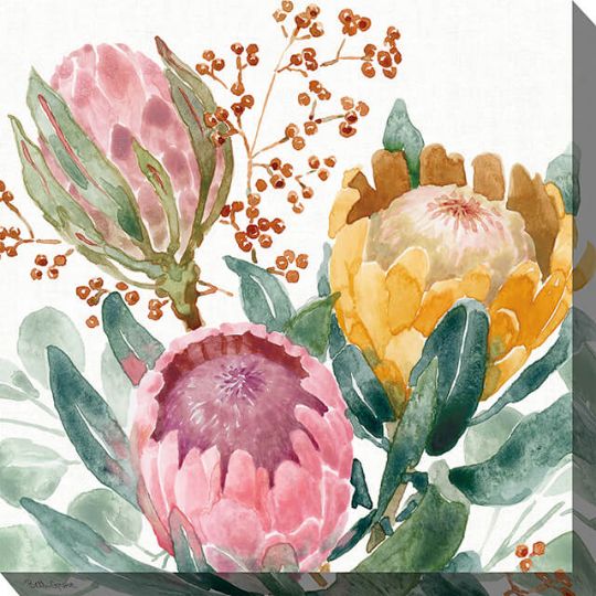 Protea Passion 24" x 24" Outdoor Canvas Wall Art | Weatherproof & UV-Resistant