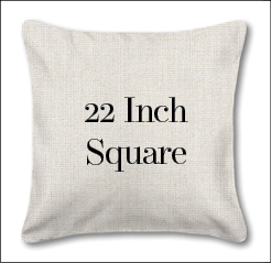 Outdoor Pillow or Patio Pillow 22" Square