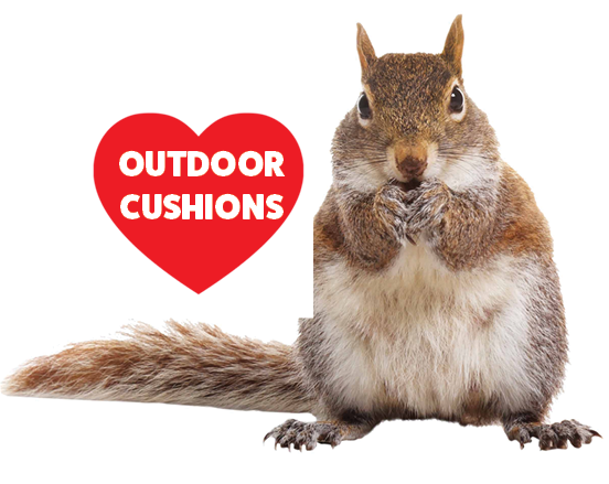 Squirrels love to eat your patio furniture cushions